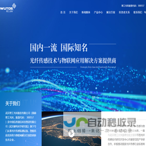武汉理工光科股份有限公司