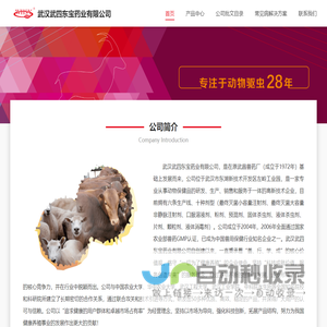 武汉武四东宝药业有限公司