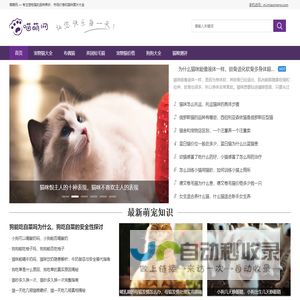 喵萌网