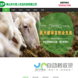 主营单项维生素