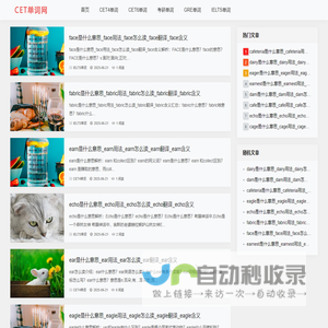 CET英语单词网