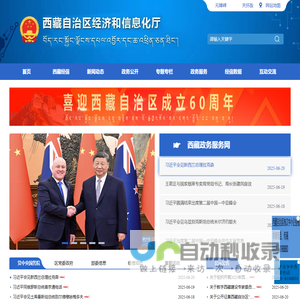 西藏自治区经济和信息化厅