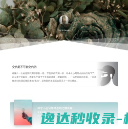 网站截图