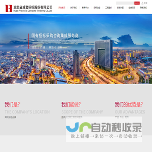 湖北省成套招标股份有限公司