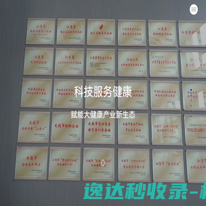 网站首页