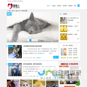 猫咪