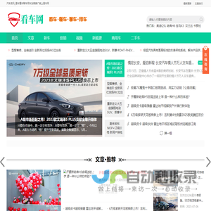 看车网