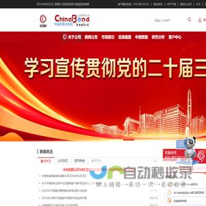 中国债券信息网
