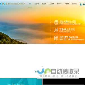 重庆市中基进出口有限公司