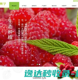 我的开发小栈