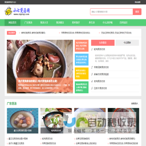 广东煲汤食谱100种做法大全