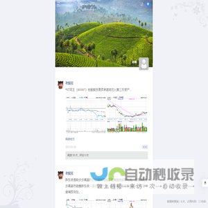炒股网