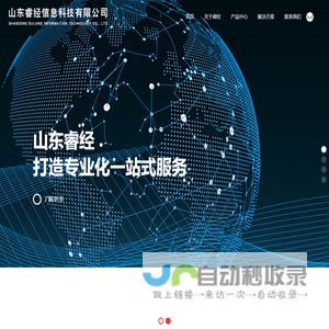 山东睿经信息科技有限公司