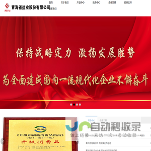 青海省盐业股份有限公司