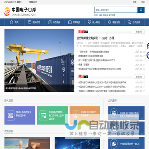 中国电子口岸
