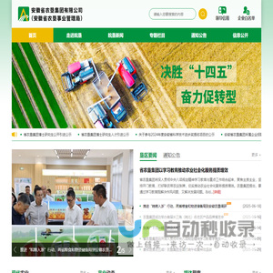 安徽农垦集团