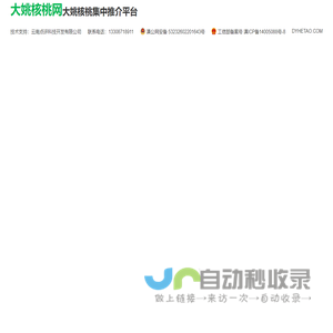 大姚核桃网