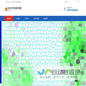 武汉市宗蓝齐商贸有限公司