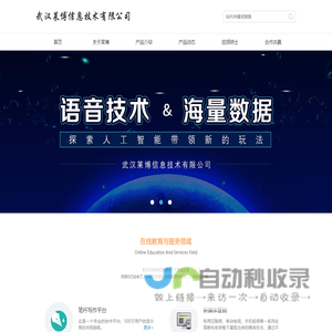武汉莱博信息技术有限公司