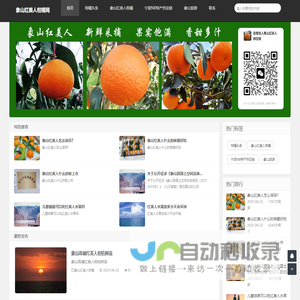 象山红美人柑橘网
