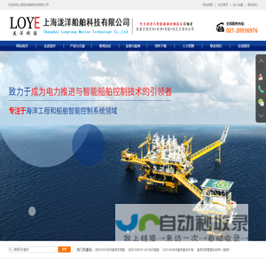 上海泷洋科技