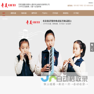 重庆教学乐器