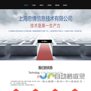 上海忠情信息技术有限公司