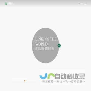 银蕨教育集团