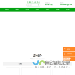 韦博脱毒红薯苗基地