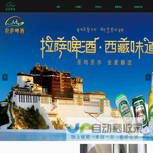 西藏发展股份有限公司