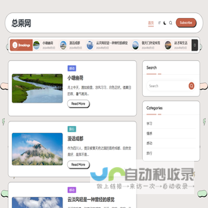 总乘网