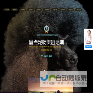 晶点宠物美容培训学校