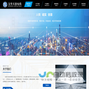 文登天恋电线有限公司