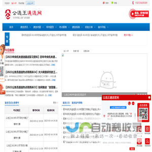 公选王遴选网