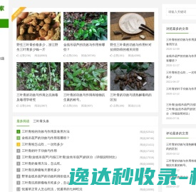 澳歌联合服装有限公司