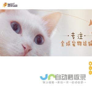 宠物出国
