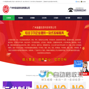 深圳代写标书公司