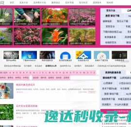 立万数据行呗