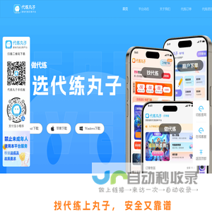 代练丸子官网