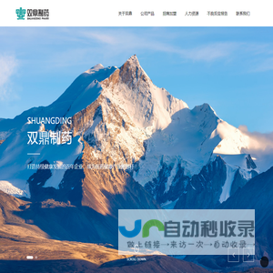 沈阳双鼎制药有限公司