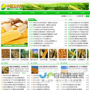玉米网