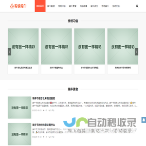 粽情端午网