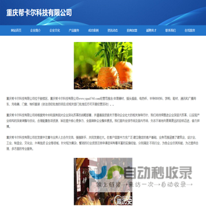 重庆帮卡尔科技有限公司