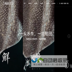辣伍鲜毛肚老火锅