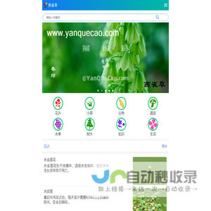 植物百科
