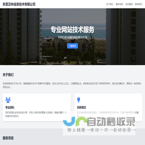 东营正林信息技术有限公司