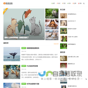 狗窝宠物网