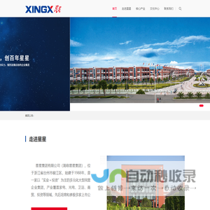 星星集团有限公司