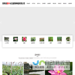 安新县冀中水生植物种植有限公司