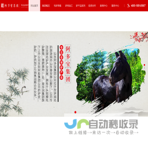 阿多宝